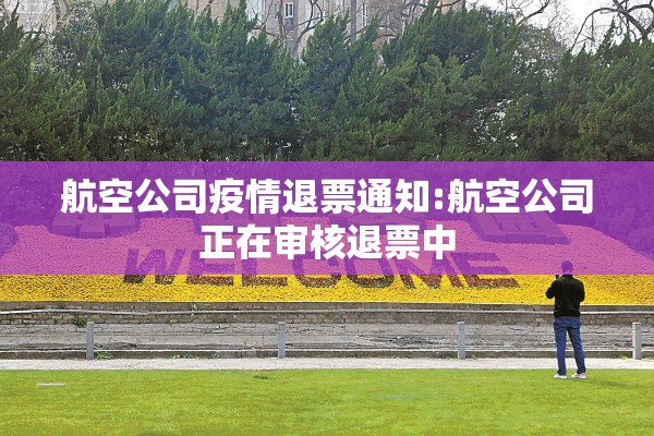航空公司疫情退票通知:航空公司正在审核退票中