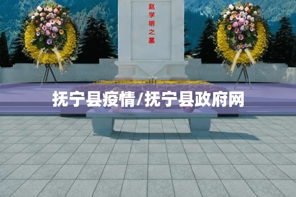 抚宁县疫情/抚宁县政府网