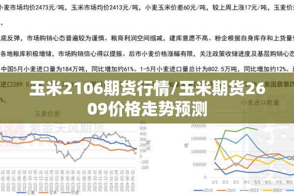 玉米2106期货行情/玉米期货2609价格走势预测