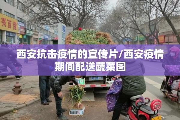 西安抗击疫情的宣传片/西安疫情期间配送蔬菜图