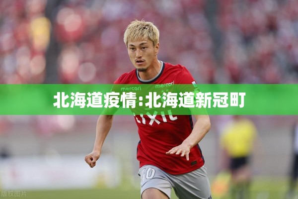 北海道疫情:北海道新冠町