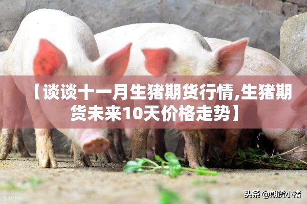 【谈谈十一月生猪期货行情,生猪期货未来10天价格走势】