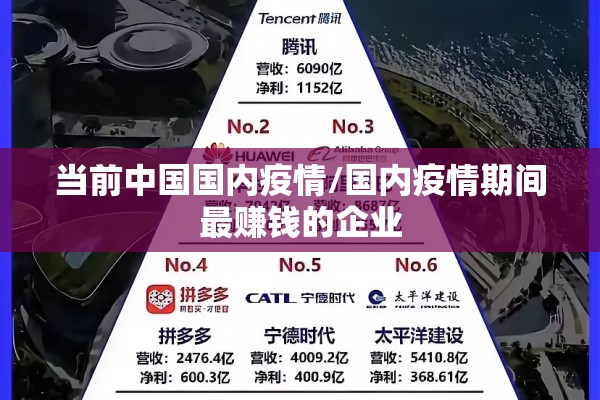 当前中国国内疫情/国内疫情期间最赚钱的企业