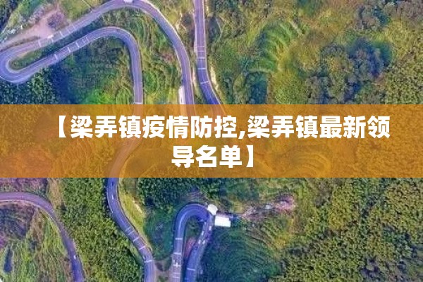 【梁弄镇疫情防控,梁弄镇最新领导名单】