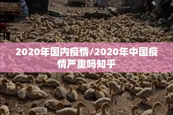 2020年国内疫情/2020年中国疫情严重吗知乎