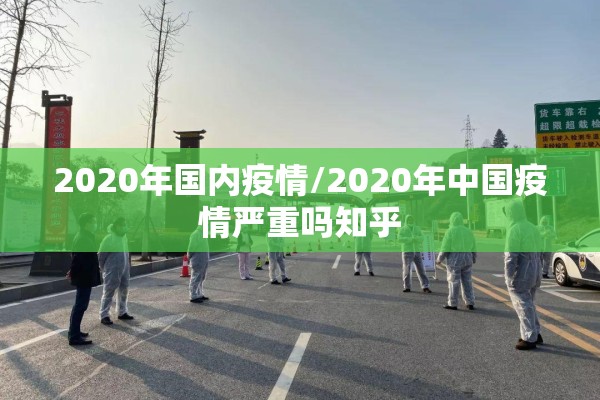 2020年国内疫情/2020年中国疫情严重吗知乎