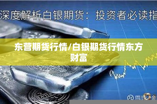 东营期货行情/白银期货行情东方财富