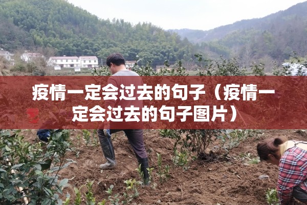 疫情一定会过去的句子（疫情一定会过去的句子图片）