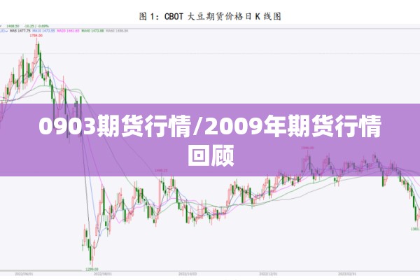 0903期货行情/2009年期货行情回顾