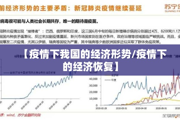 【疫情下我国的经济形势/疫情下的经济恢复】