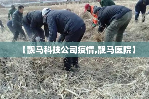 【靓马科技公司疫情,靓马医院】