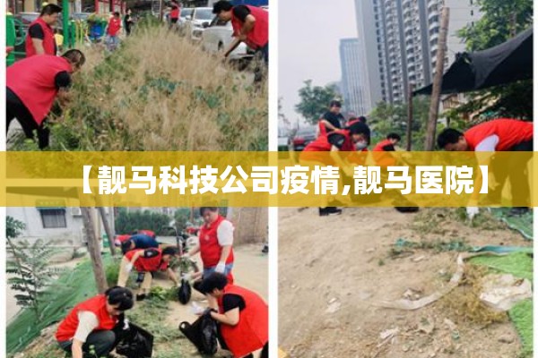 【靓马科技公司疫情,靓马医院】