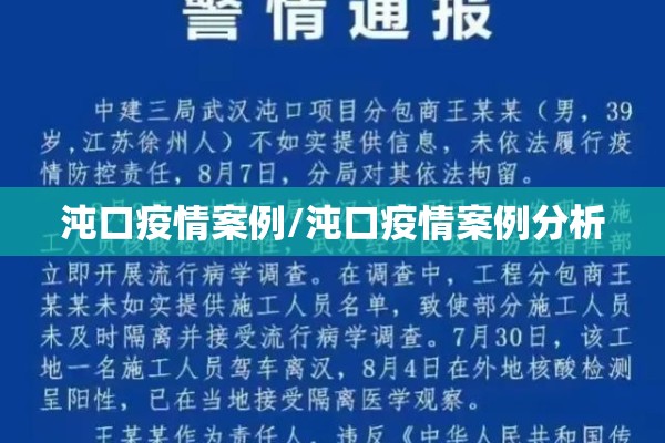 沌口疫情案例/沌口疫情案例分析