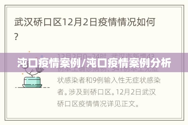 沌口疫情案例/沌口疫情案例分析