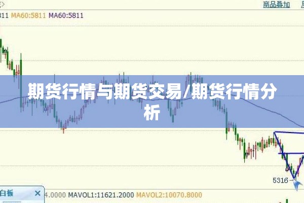 期货行情与期货交易/期货行情分析