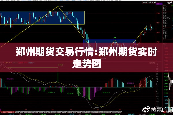 郑州期货交易行情:郑州期货实时走势图