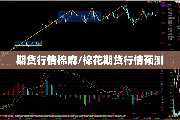 期货行情棉麻/棉花期货行情预测