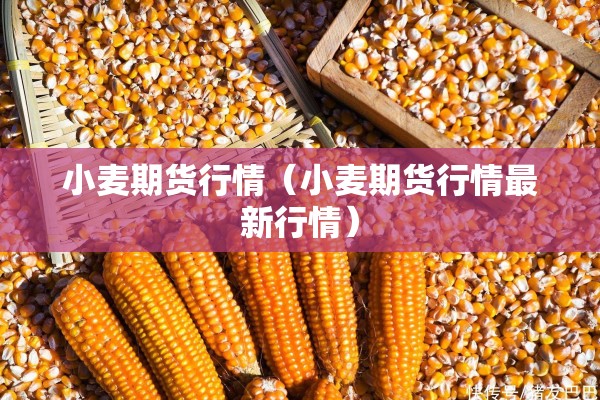 小麦期货行情（小麦期货行情最新行情）