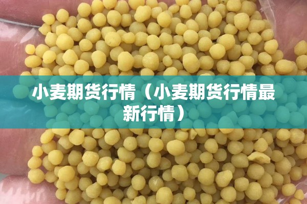 小麦期货行情（小麦期货行情最新行情）