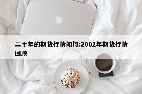 二十年的期货行情如何:2002年期货行情回顾