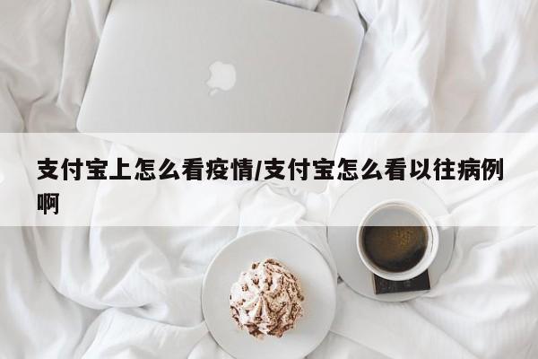 支付宝上怎么看疫情/支付宝怎么看以往病例啊