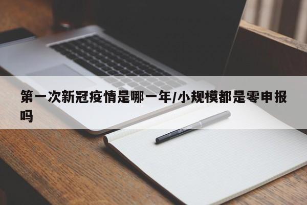 第一次新冠疫情是哪一年/小规模都是零申报吗