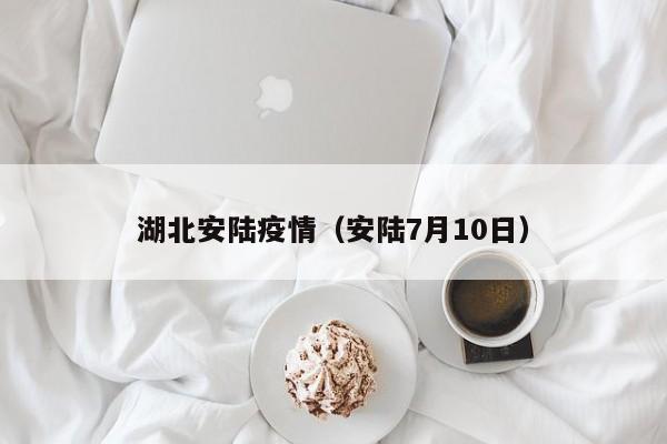 湖北安陆疫情(安陆7月10日)