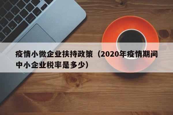 疫情小微企业扶持政策(2020年疫情期间中小企业税率是多少)