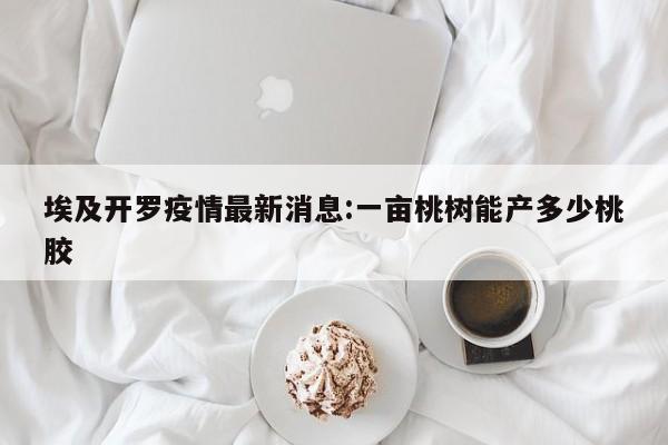 埃及开罗疫情最新消息:一亩桃树能产多少桃胶