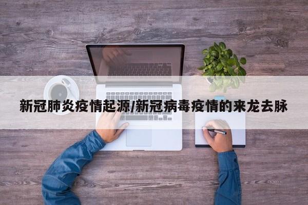 新冠肺炎疫情起源/新冠病毒疫情的来龙去脉