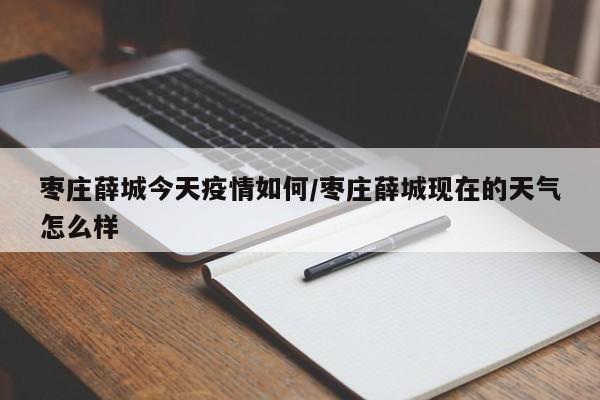 枣庄薛城今天疫情如何/枣庄薛城现在的天气怎么样