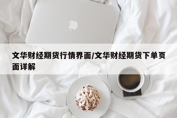 文华财经期货行情界面/文华财经期货下单页面详解