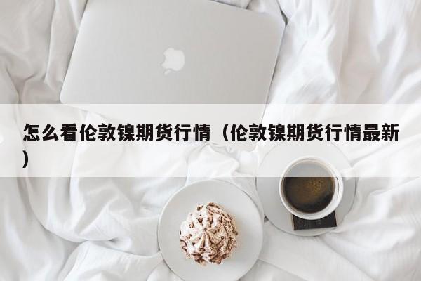 怎么看伦敦镍期货行情(伦敦镍期货行情最新)