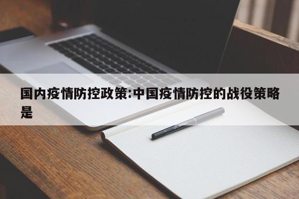 国内疫情防控政策:中国疫情防控的战役策略是